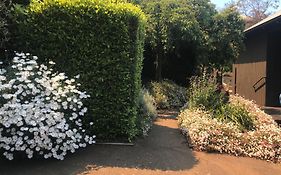 Belle Voir- Scenic Views, Steps From Town